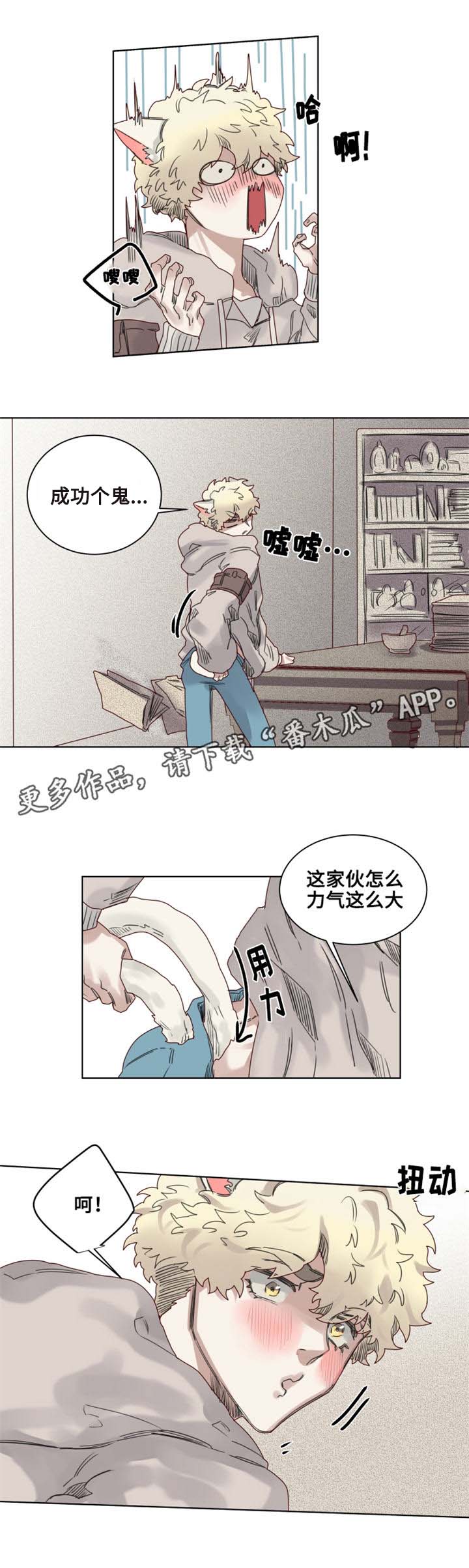 魔法师皮塔漫画,第9章：猫咪套装4图