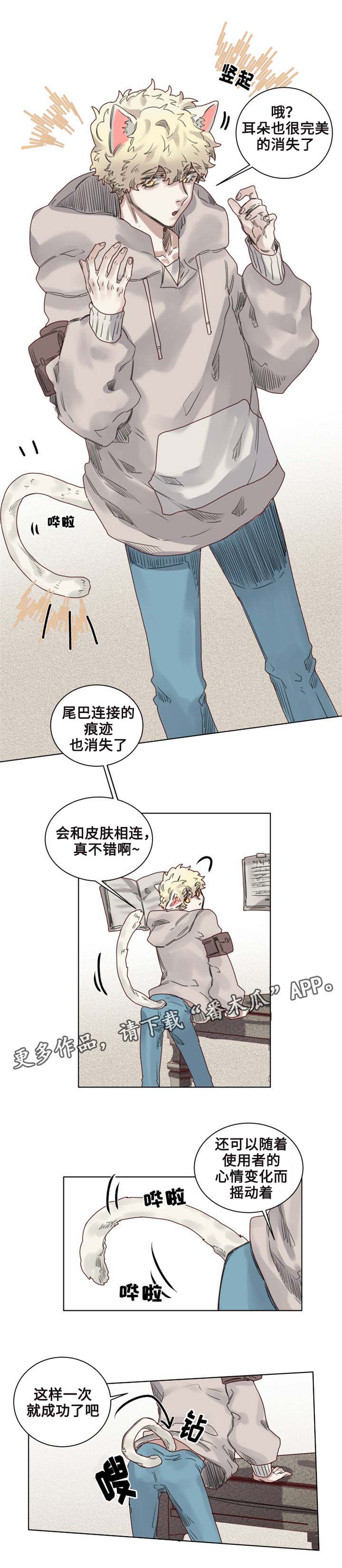 魔法师皮塔漫画,第9章：猫咪套装3图