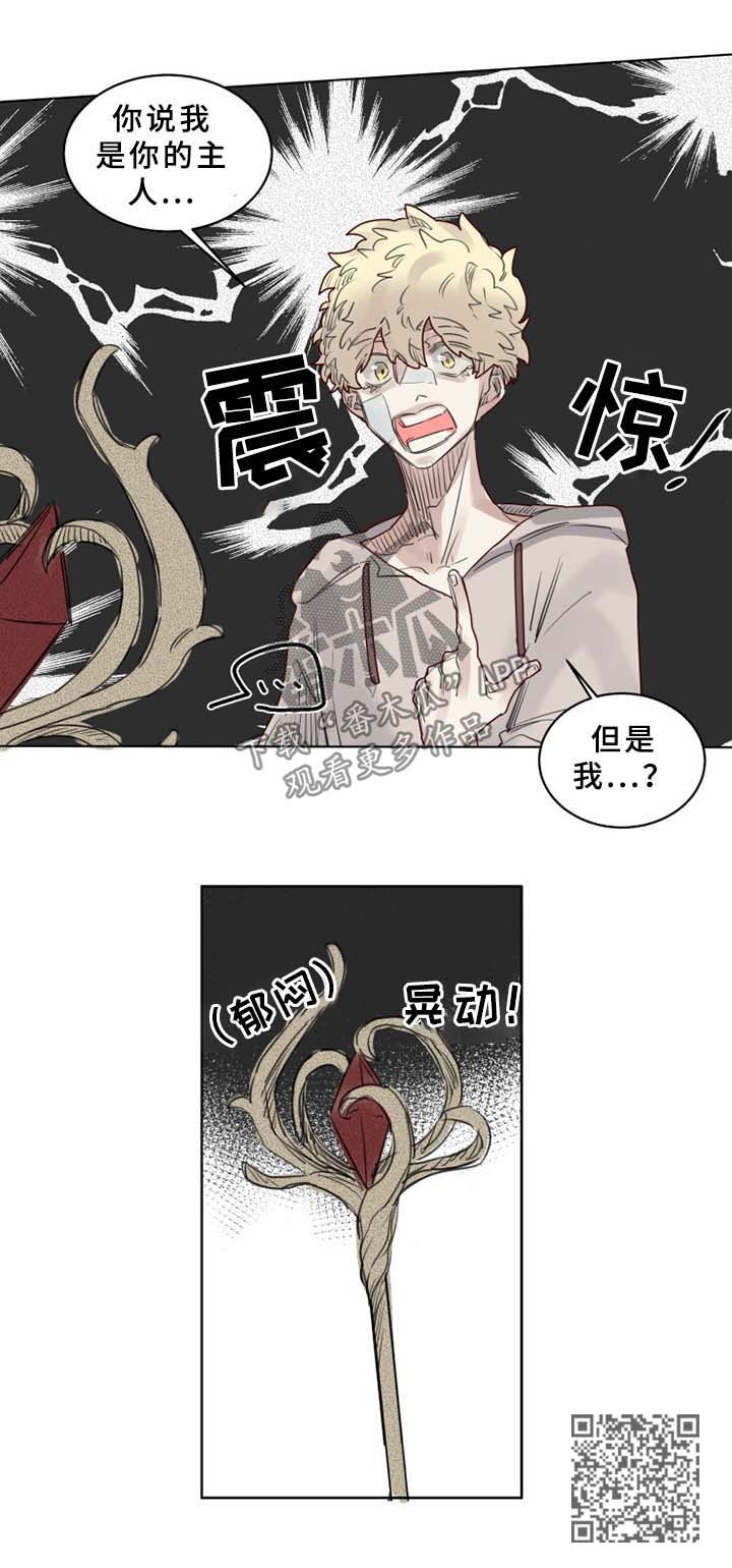魔法师皮塔漫画,第41章：大魔法师的秘密1图