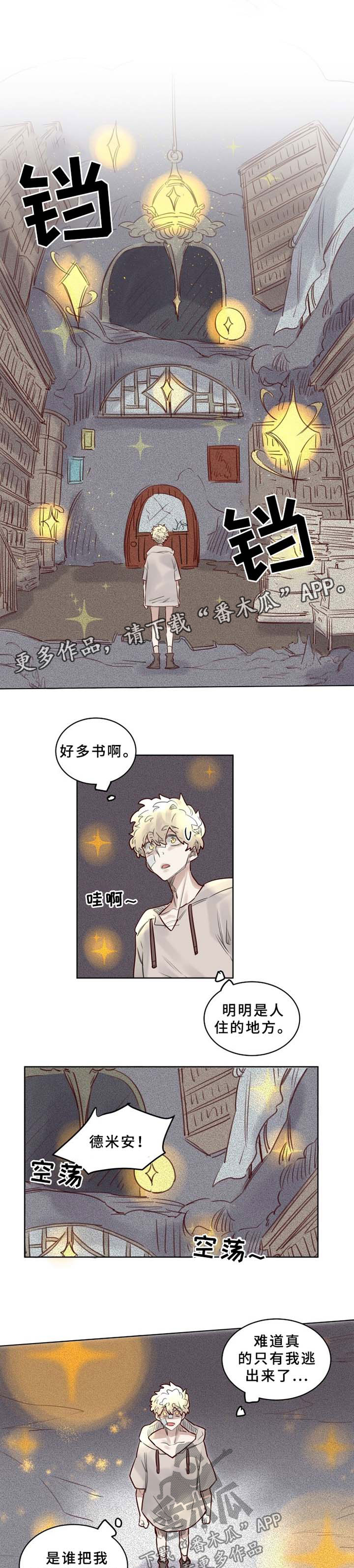 第41章：大魔法师的秘密0