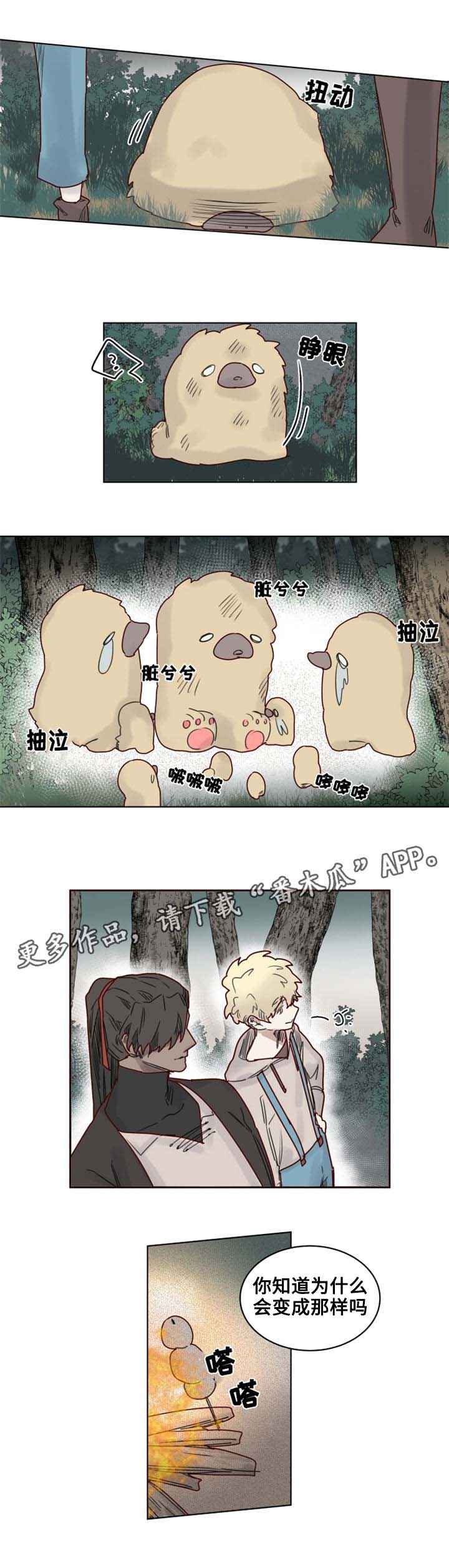 魔法师皮塔漫画,第21章：陌生的毒花1图
