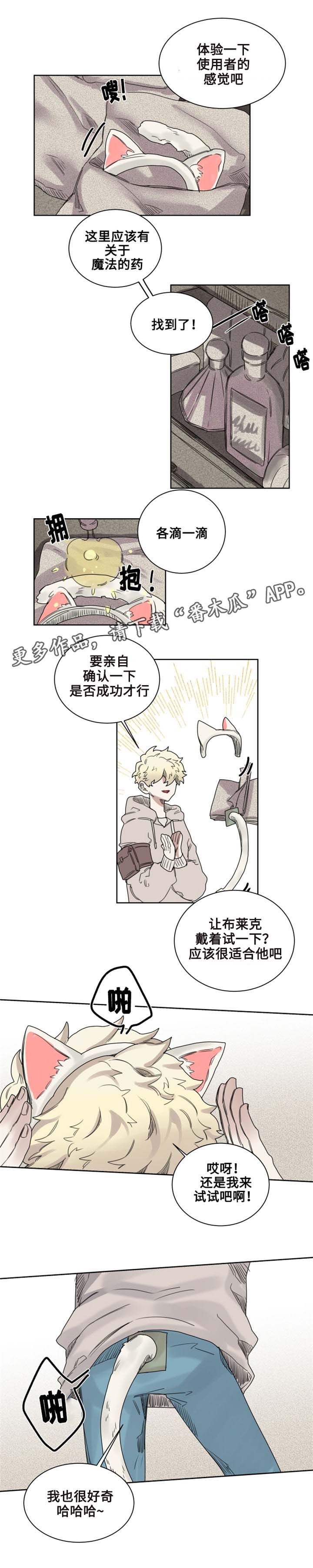 魔法师皮塔漫画,第9章：猫咪套装2图