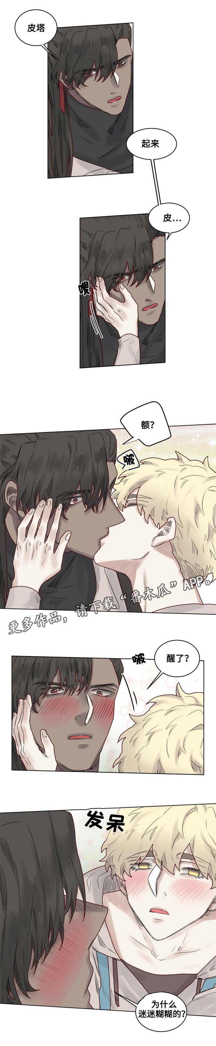 魔法师皮塔漫画,第21章：陌生的毒花5图