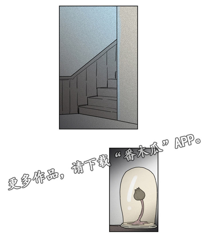 魔法师皮塔漫画,第23章：重回图书馆2图