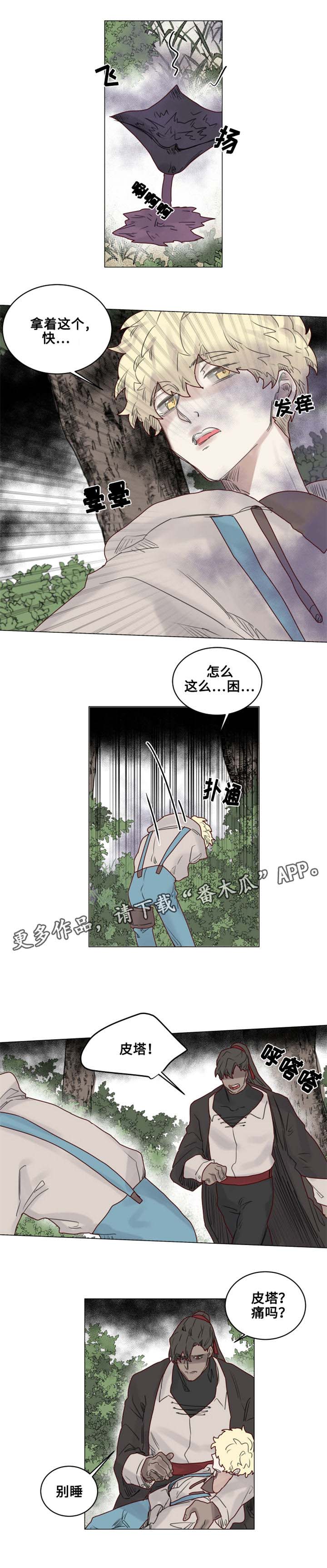 魔法师皮塔漫画,第21章：陌生的毒花4图