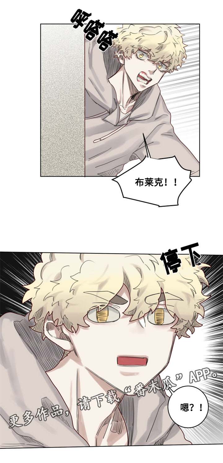 魔法师皮塔漫画,第15章：国立图书馆4图