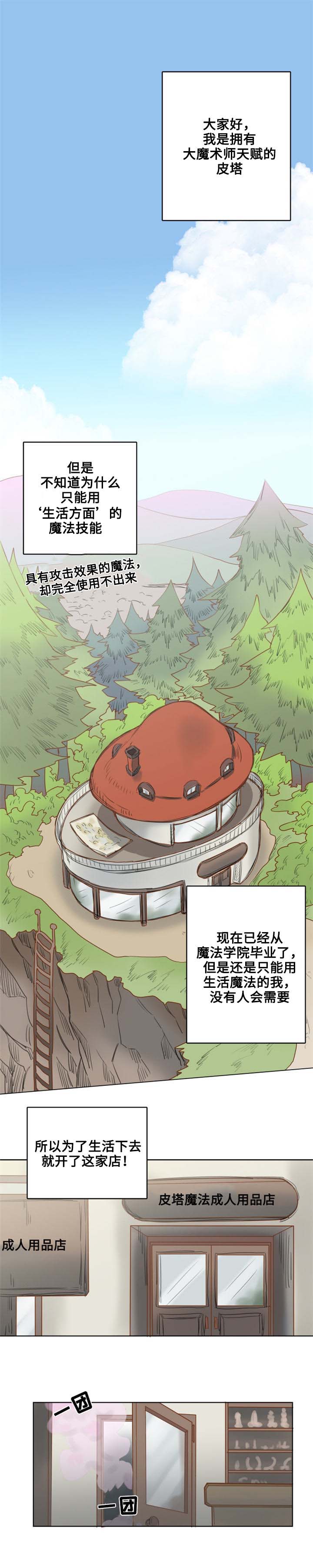 第1章：魔法师皮塔0