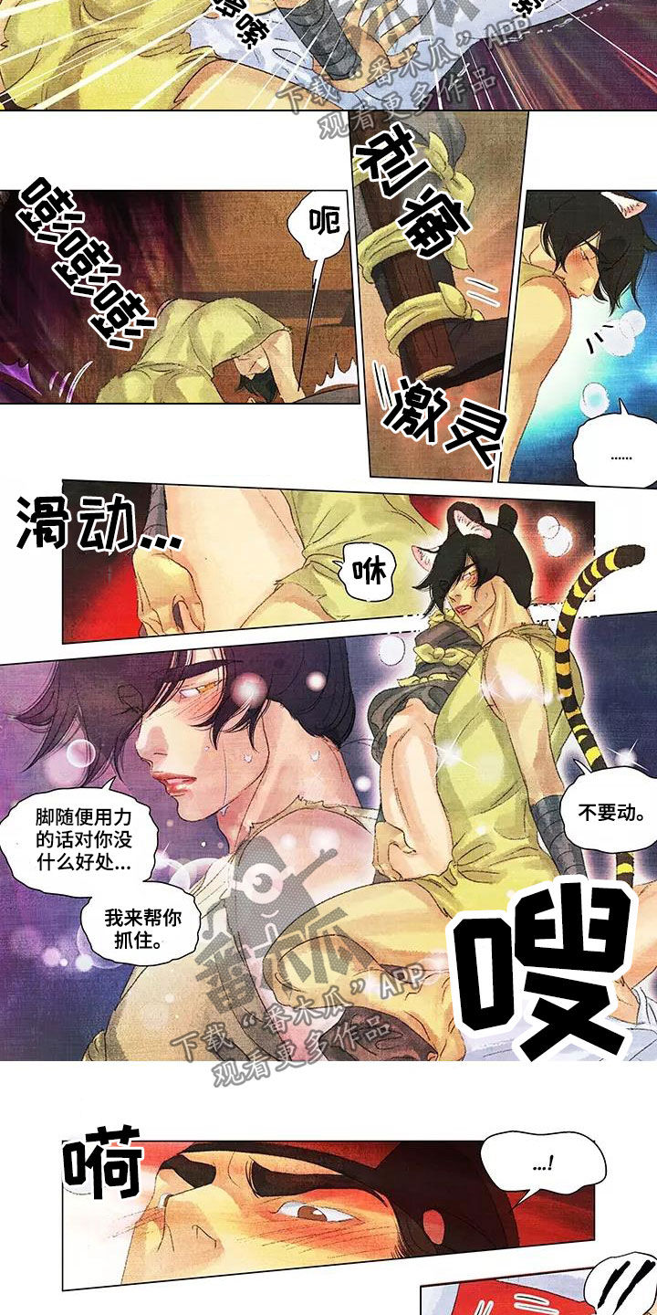 第一百个夜晚漫画,第38章：耀眼的光1图