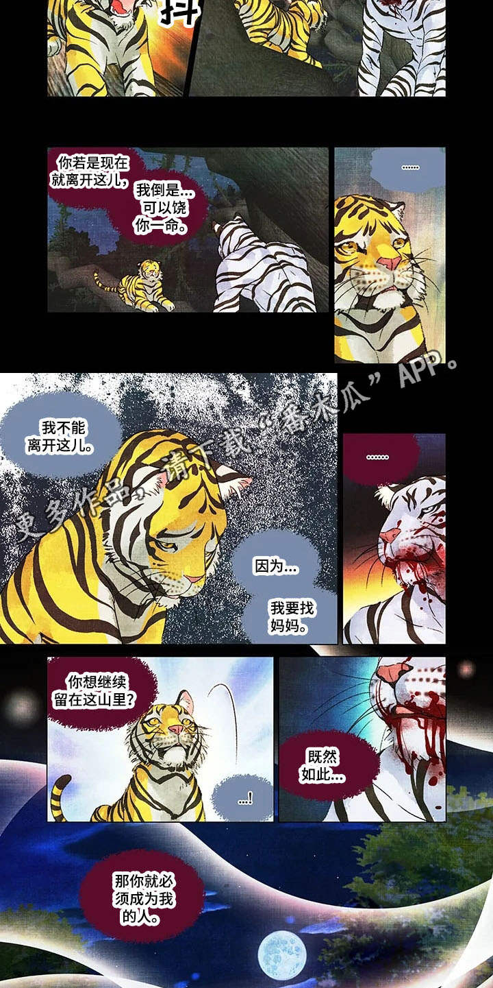 第一百个夜晚漫画,第12章：领地5图