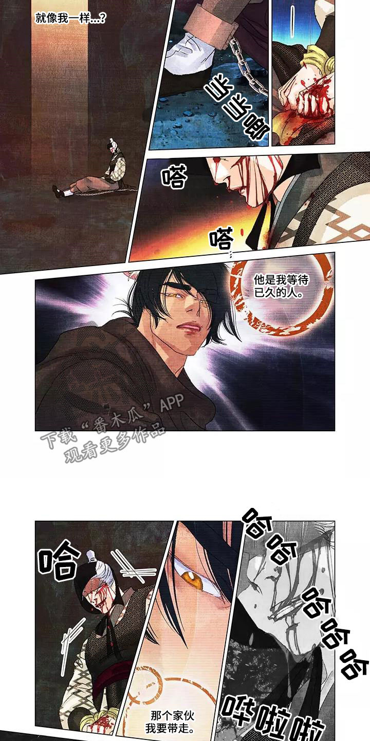 第一百个夜晚漫画,第33章：逃亡4图