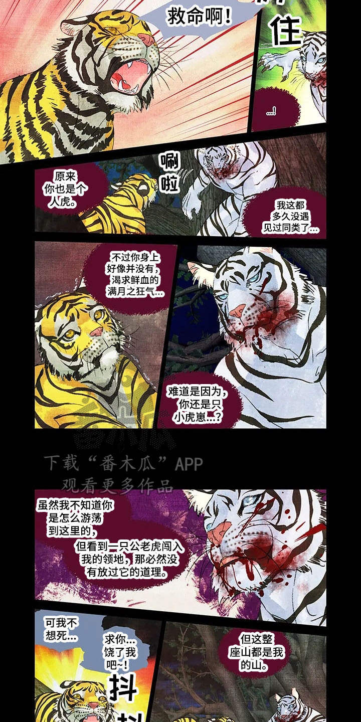 第一百个夜晚漫画,第12章：领地4图