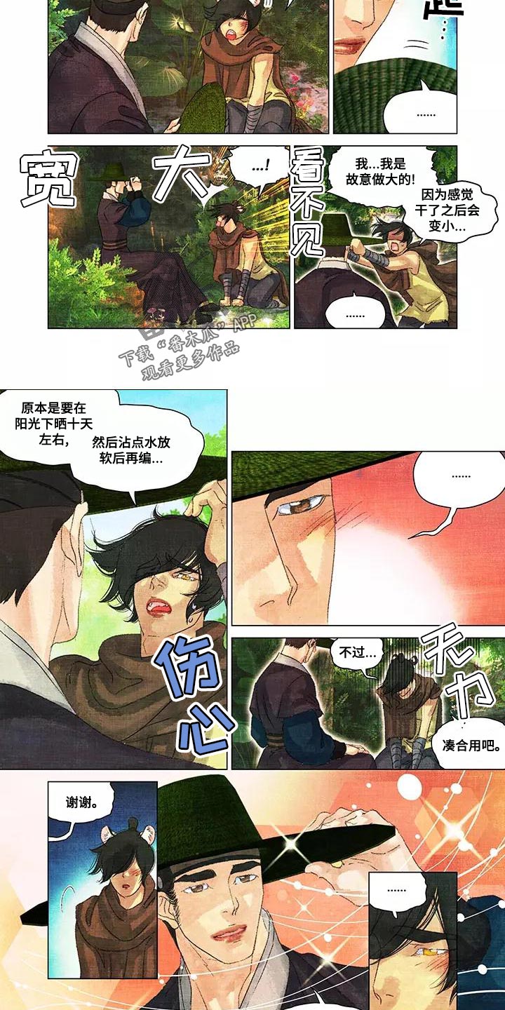 第一百个夜晚漫画,第47章：草帽5图