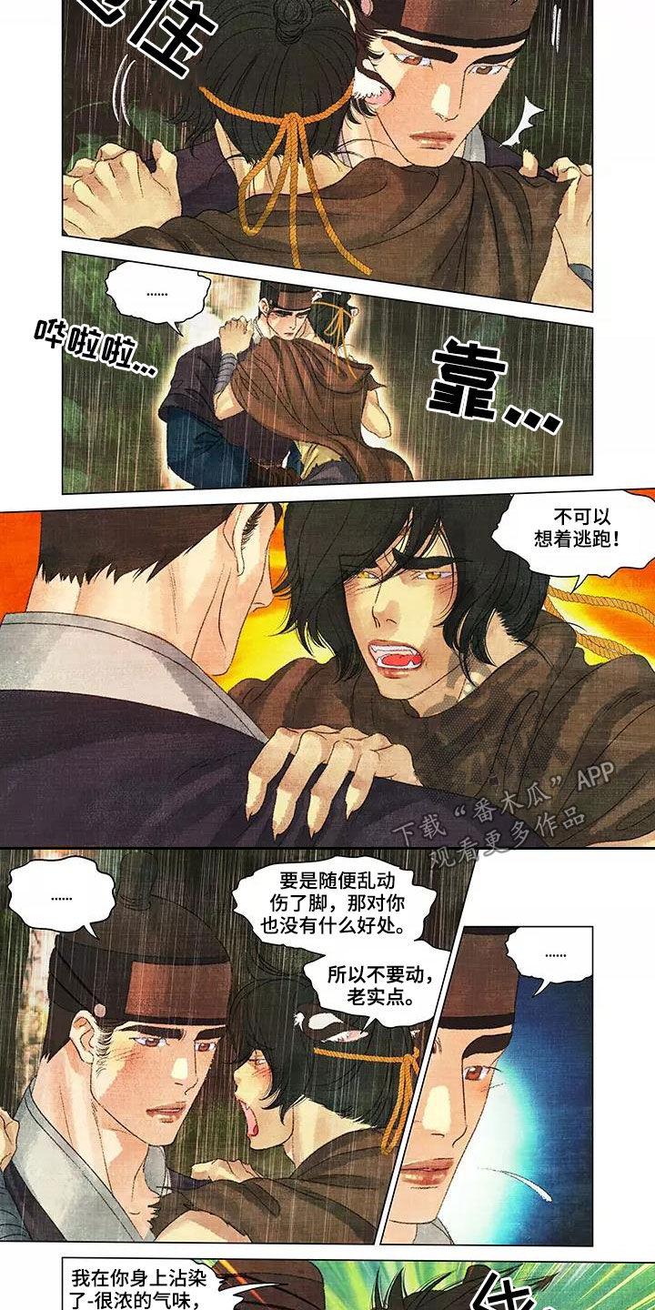 第一百个夜晚漫画,第36章：搜山4图