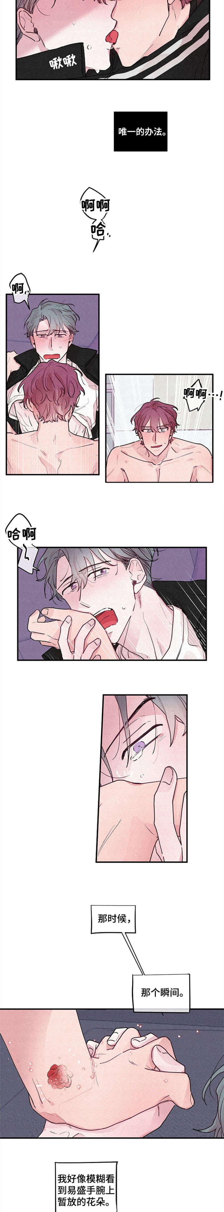 繁花盛开时漫画,第18章：绽放（完结）5图