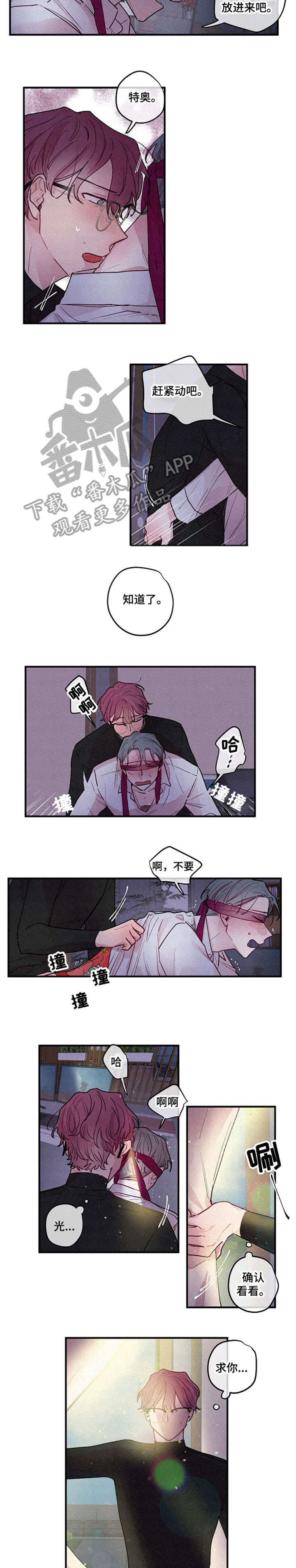 繁花盛开的那年短剧漫画,第12章：繁花2图