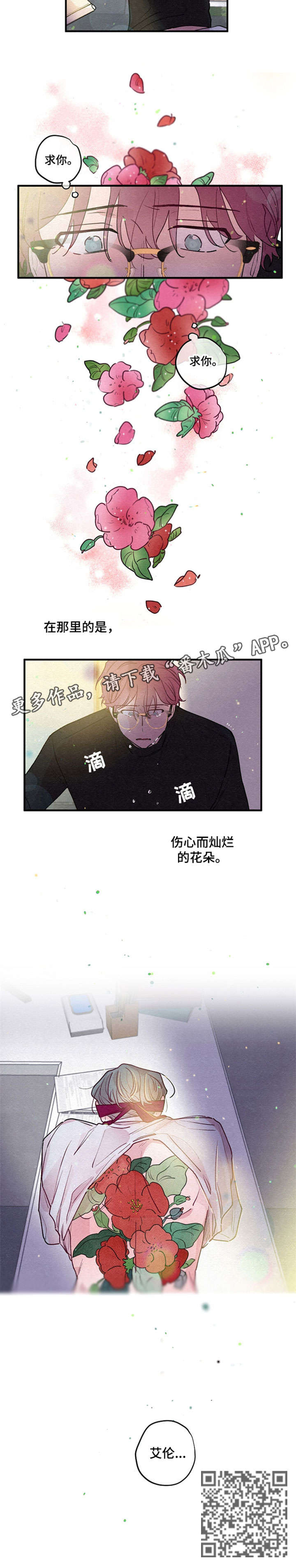 繁花盛开的那年短剧漫画,第12章：繁花3图