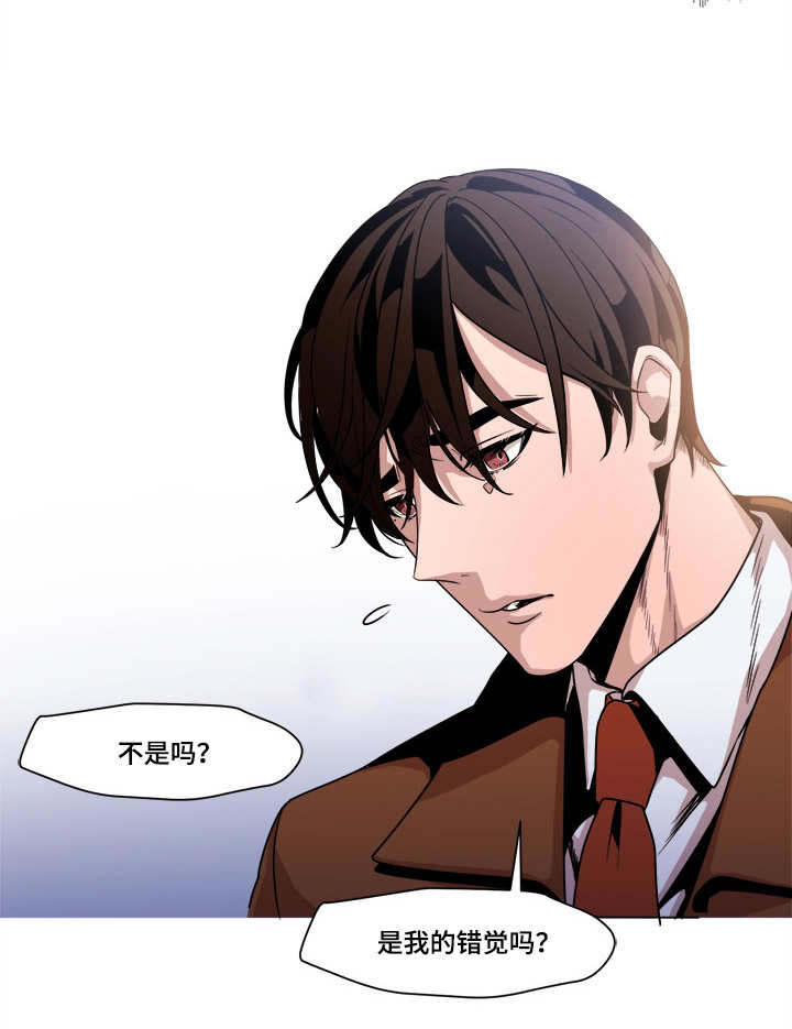 低级推销漫画非麻瓜漫画,第45章：错觉吗1图