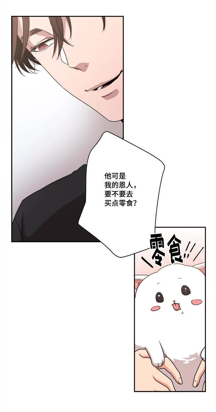 低级推销漫画,第48章：球球的助攻(完结撒花)3图