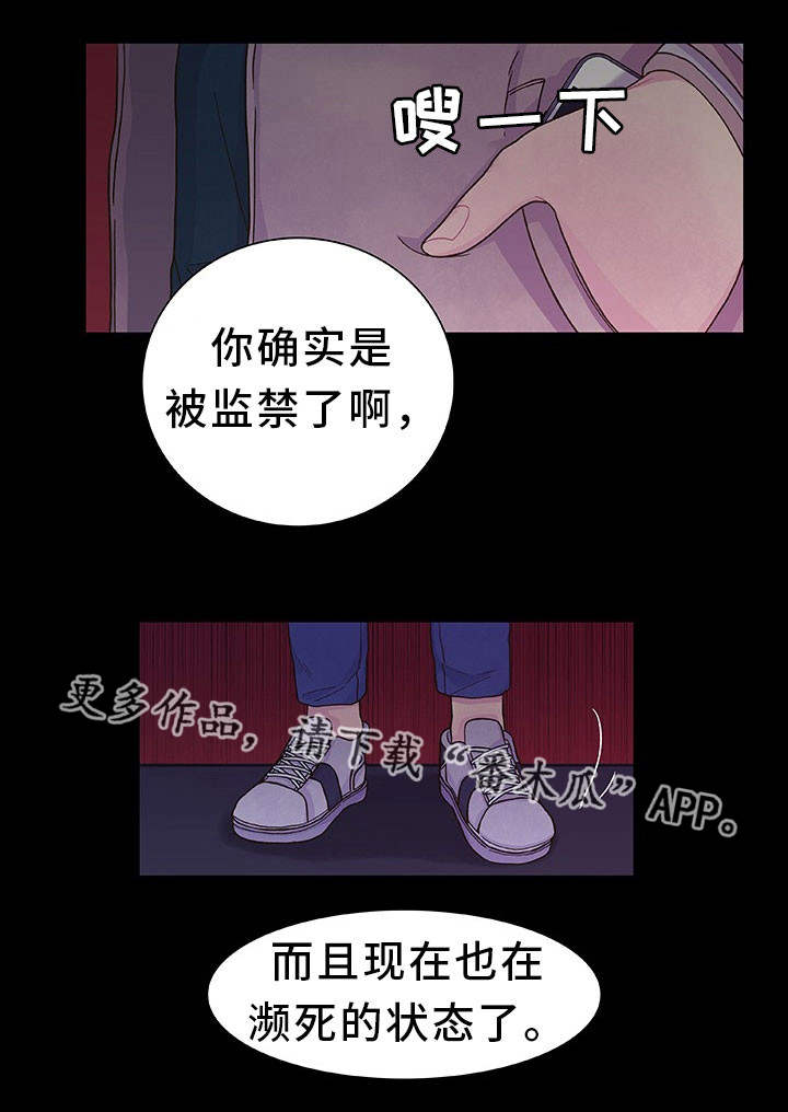 囚禁漫画,第26章：给你奖励1图