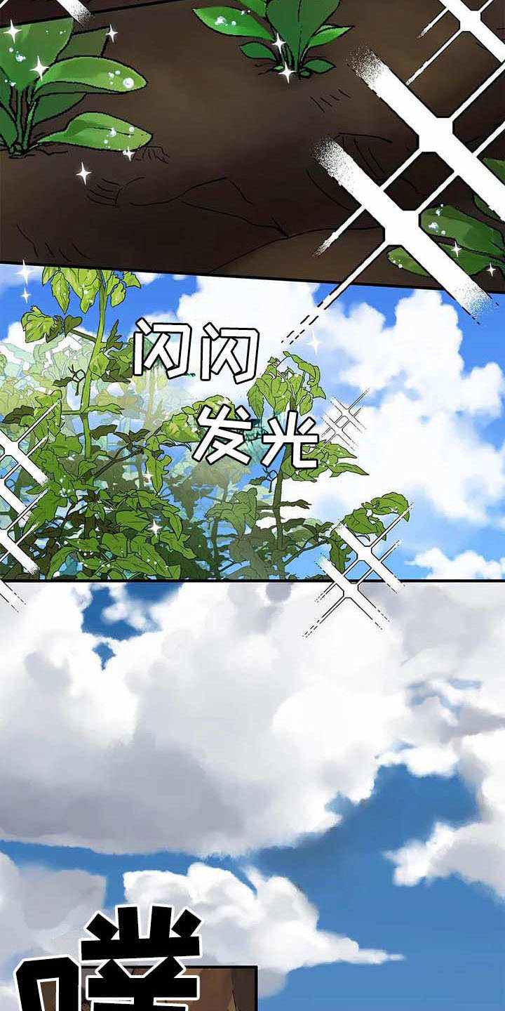 天降种田王漫画,第4章：勤奋2图