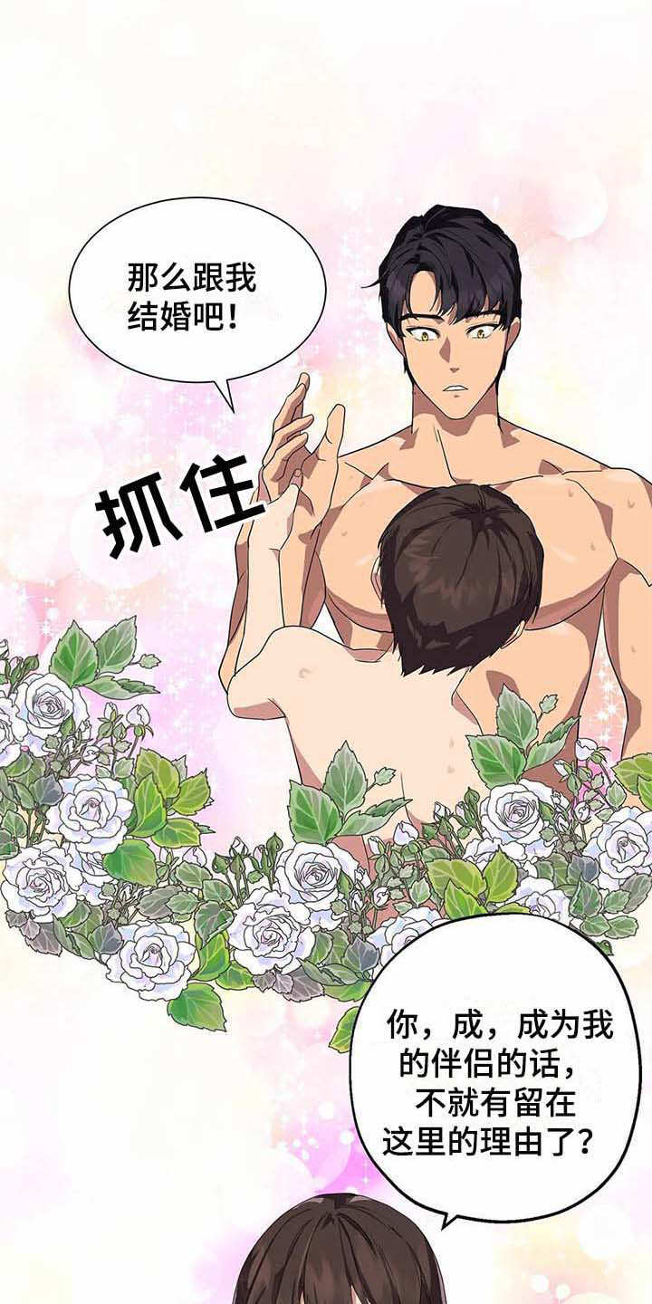 天降种田王漫画,第15章：开花结果（完结）4图