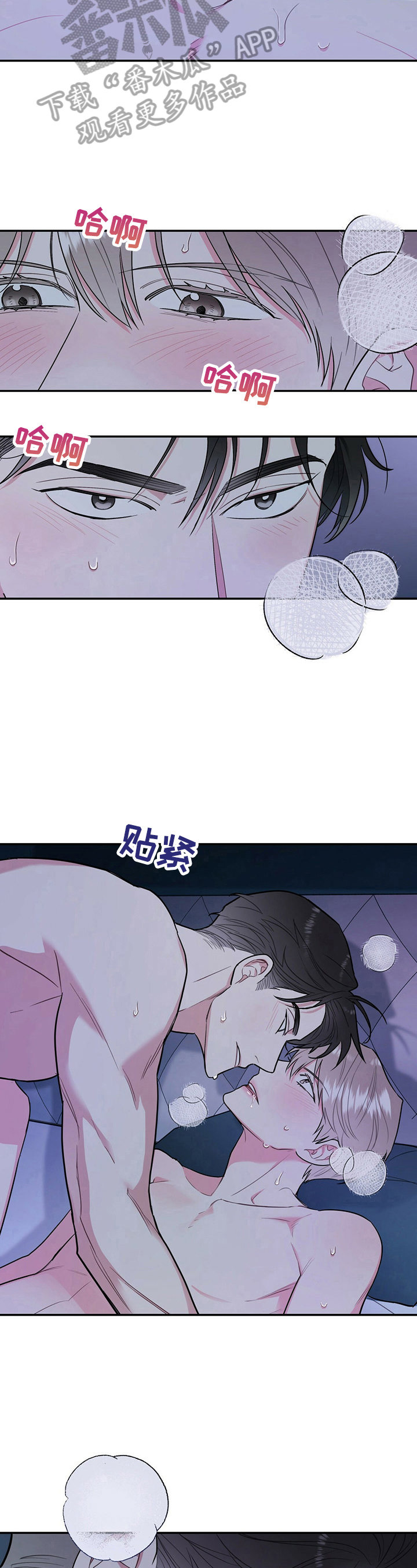 欢喜冤家漫画,第17章：喜欢5图