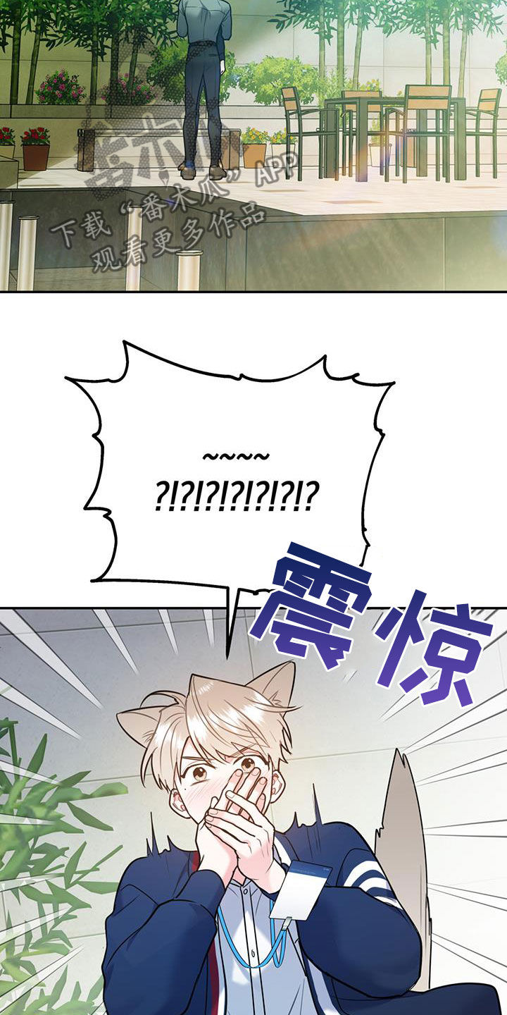 欢喜冤家漫画,第85章：【第二季】偷偷跟踪3图