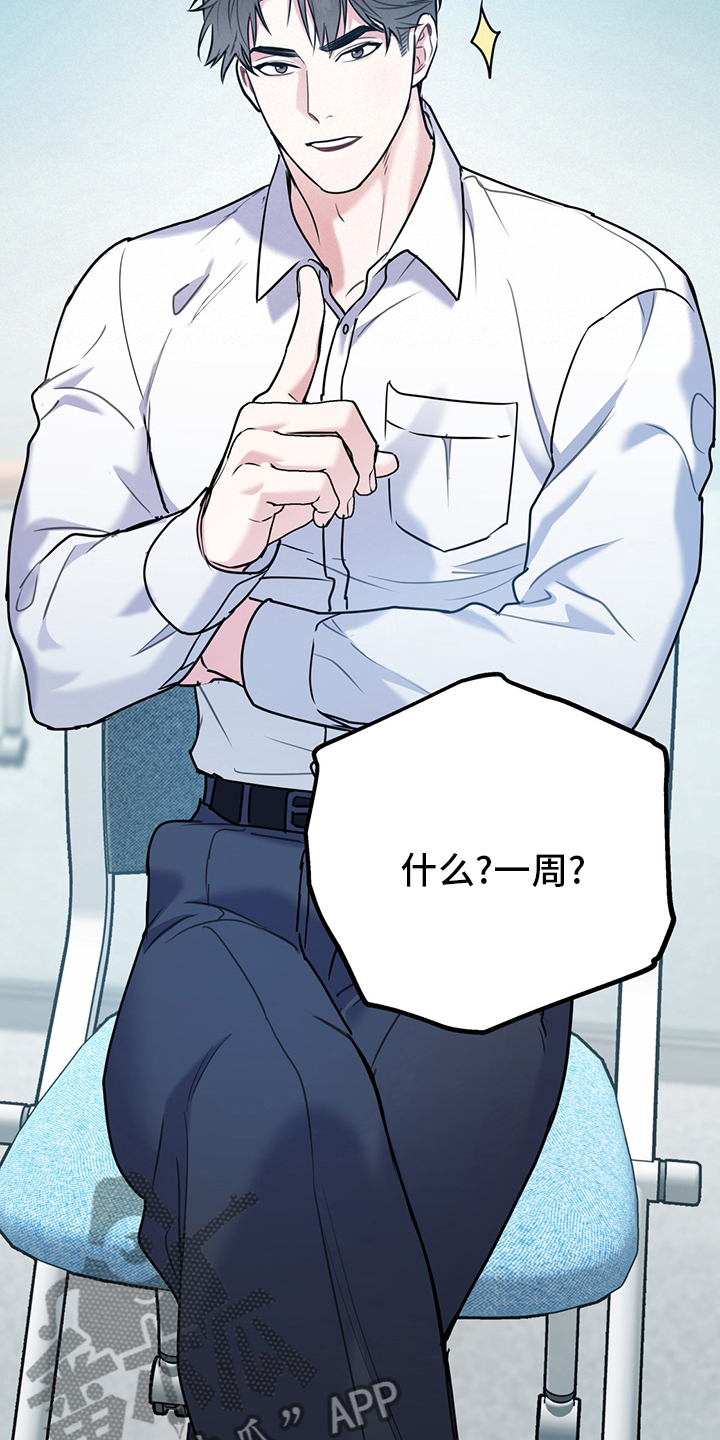 欢喜冤家漫画,第67章：【第二季】一周2图