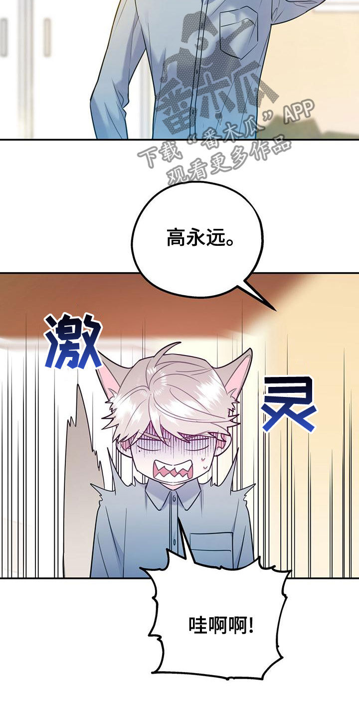 欢喜冤家漫画,第108章：【第二季】别给我触霉头5图