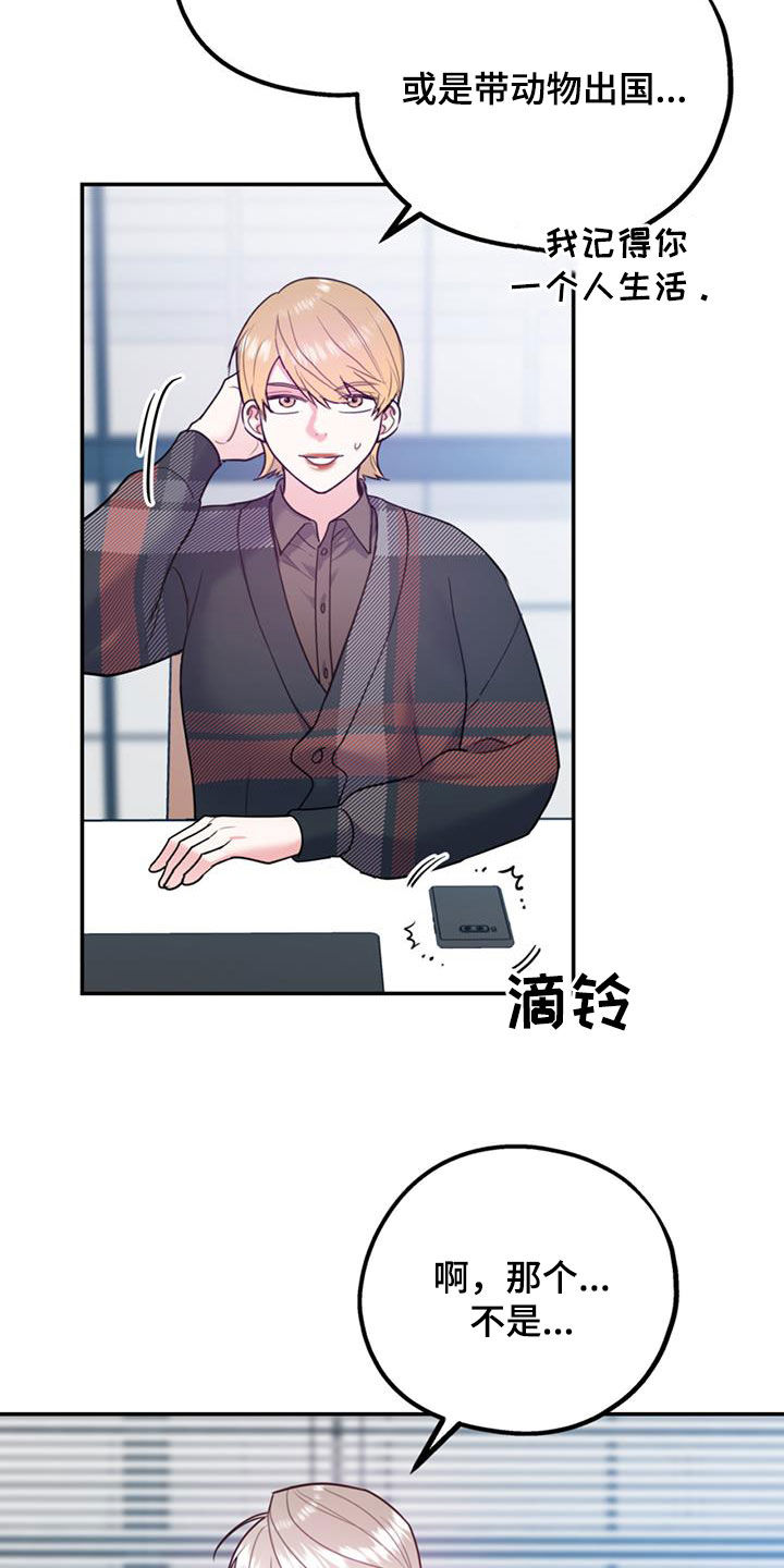 欢喜冤家漫画,第96章：【第二季】好消息4图