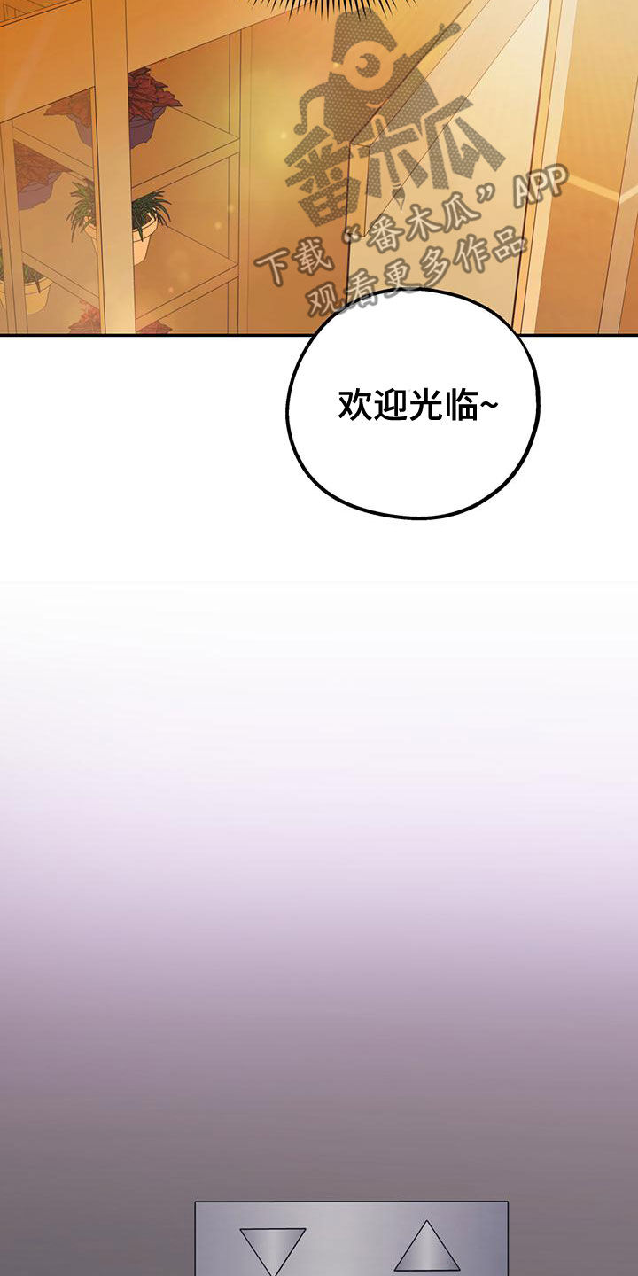 欢喜冤家漫画,第106章：【第二季】送花1图