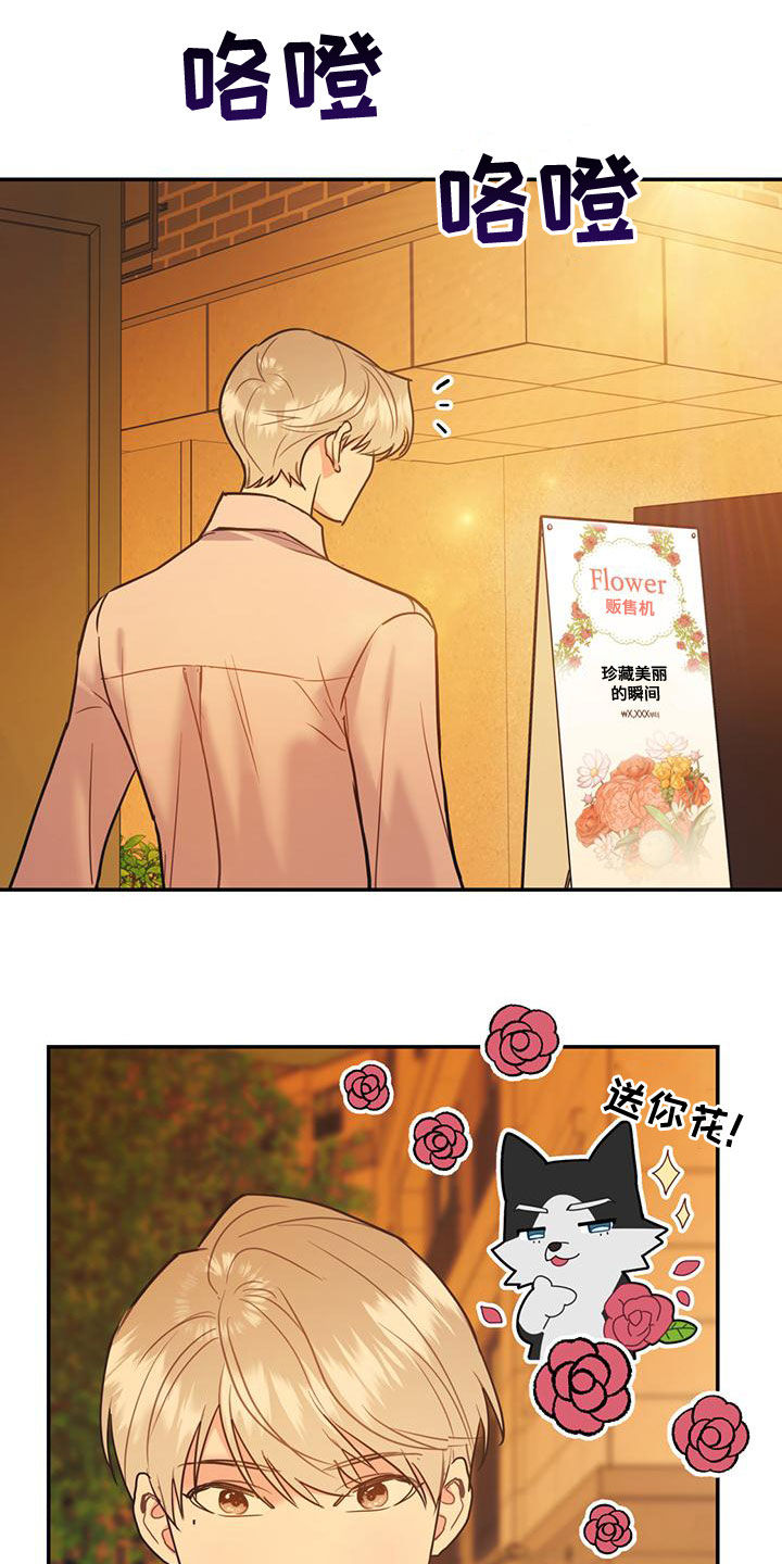 欢喜冤家漫画,第106章：【第二季】送花5图