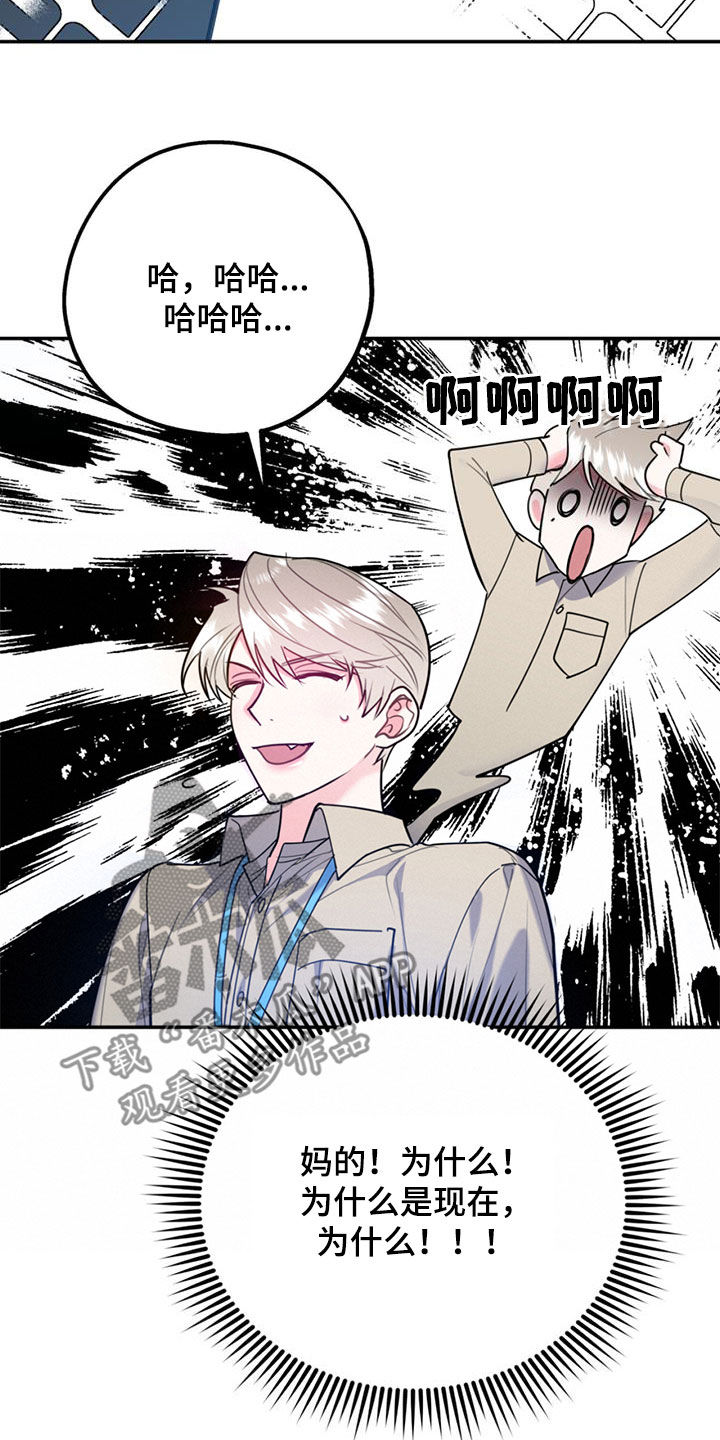 欢喜冤家漫画,第96章：【第二季】好消息3图