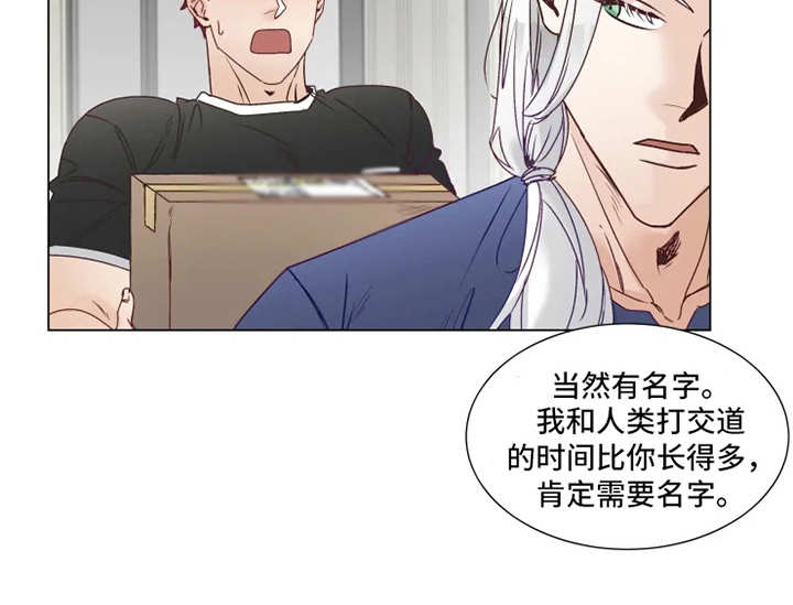 神的祭文怎么写漫画,第9章：礼物1图