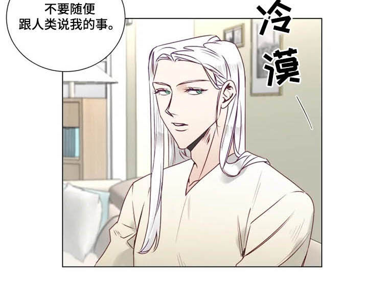 神的祭品先生漫画,第11章：特别的存在4图