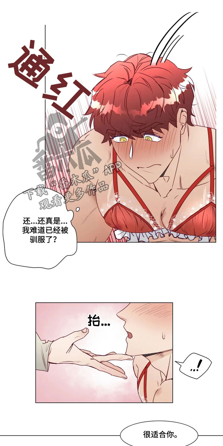 神的祭品先生漫画,第15章：屈服3图