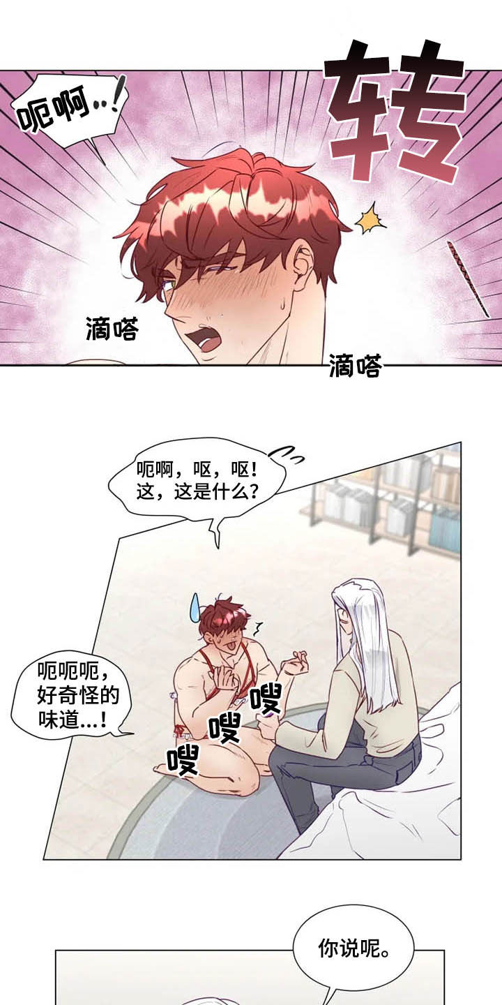 神的祭品先生漫画,第16章：放弃抵抗3图