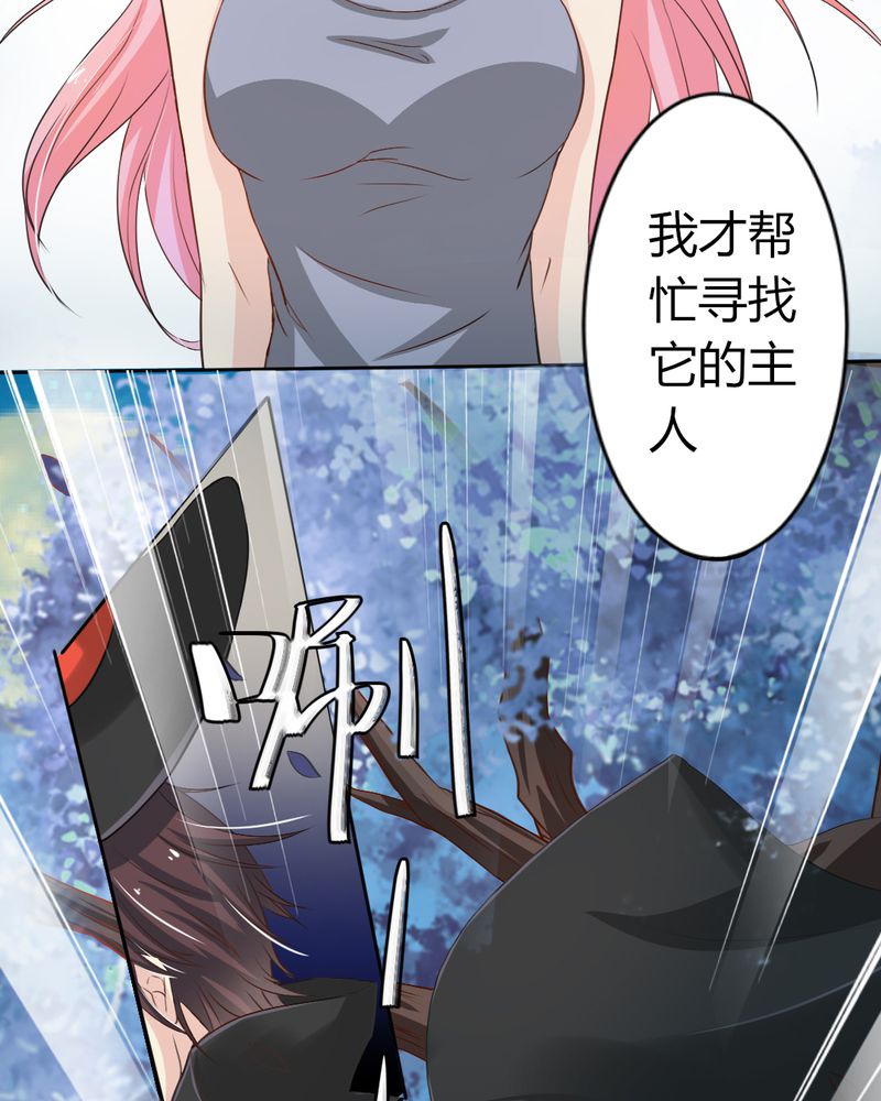 魔力茉莉的奇幻爱情漫画,第7章：突然多了个便宜师父1图