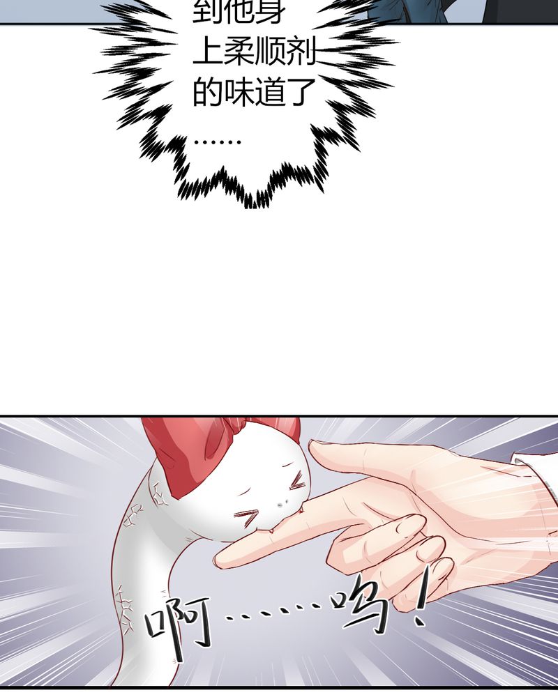 魔力茉莉的奇幻爱情漫画,第7章：突然多了个便宜师父5图