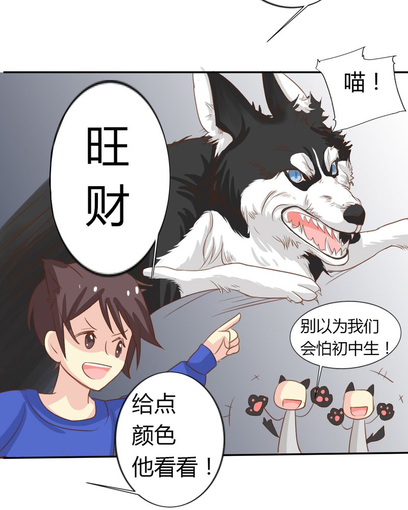 魔力茉莉的奇幻爱情漫画,第2章：茉莉的回忆1图