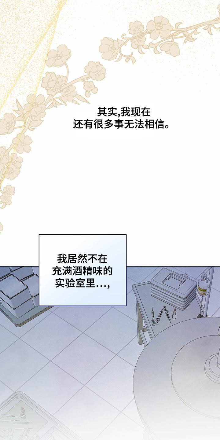 柳树下的浪漫漫画,第124章：【番外】无法相信1图