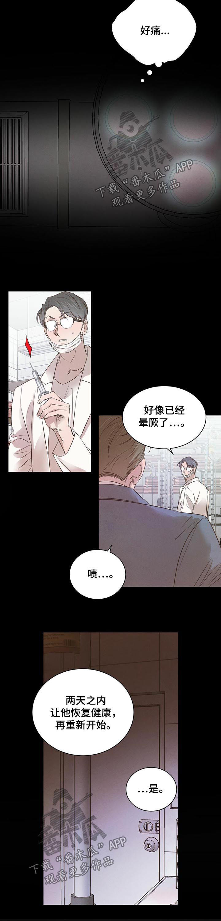 柳树下的浪漫漫画,第58章：【第二季】最佳人选4图