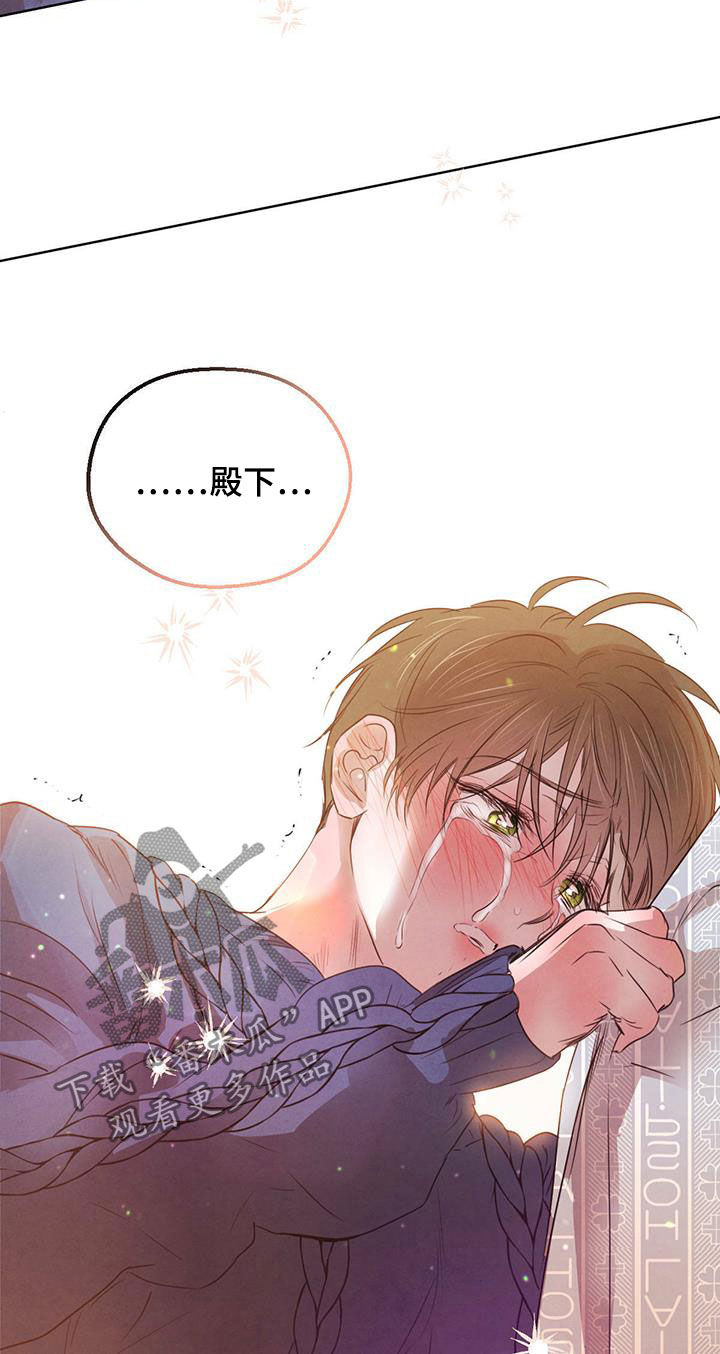 柳树下的浪漫漫画,第114章：【第二季】未来可期（完结）4图