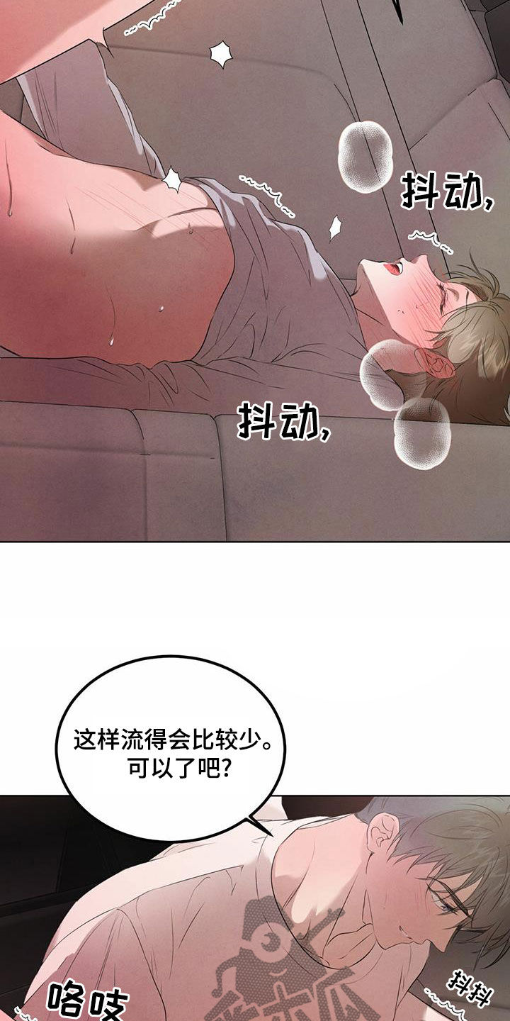 柳树下的浪漫漫画,第119章：【番外】车太小4图