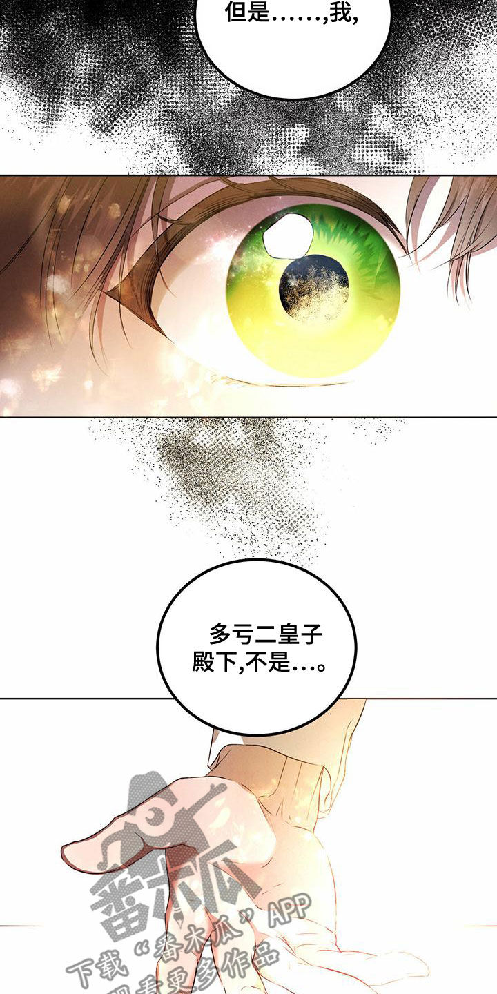 柳树下的浪漫漫画,第123章：【番外】国婚当日1图