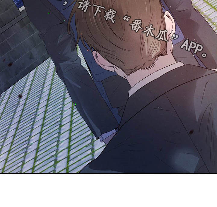 柳树下的浪漫漫画,第82章：【第二季】联手？4图