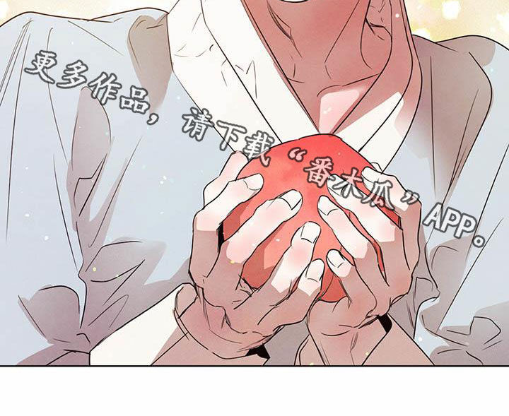 柳树下的浪漫漫画,第108章：【特别篇】龙飞桃落5图