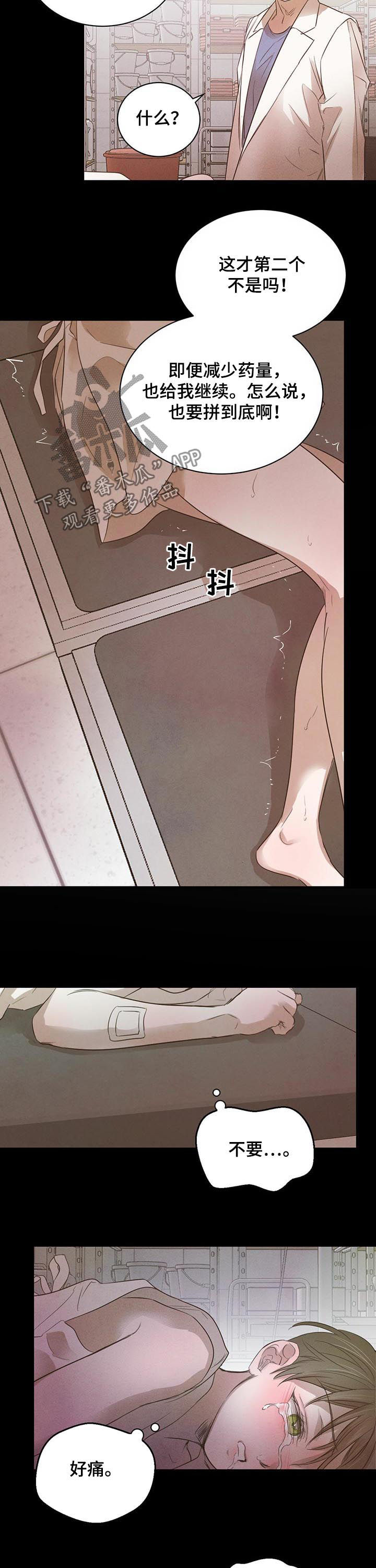 柳树下的浪漫漫画,第58章：【第二季】最佳人选3图