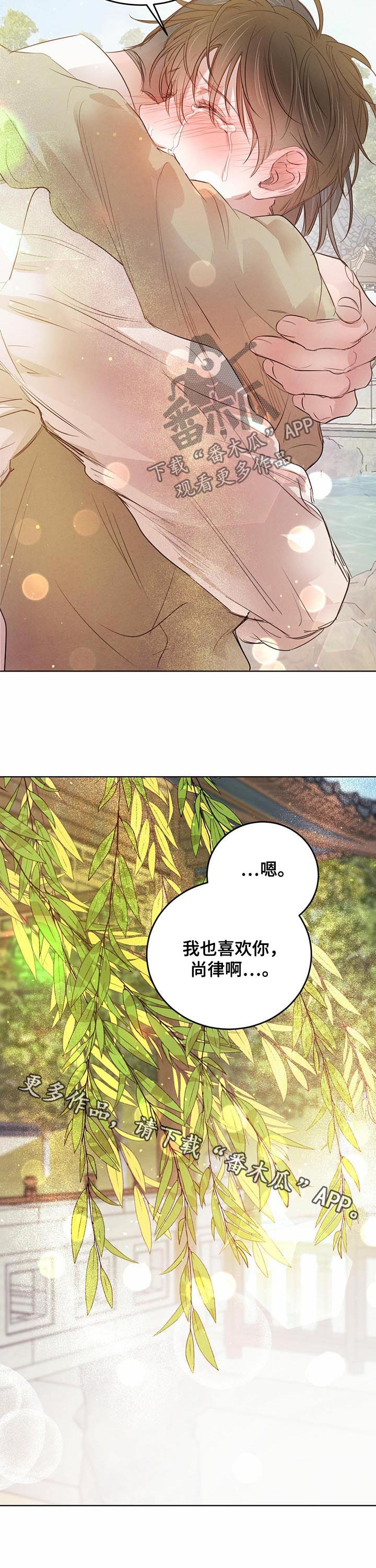 柳树下的浪漫漫画,第74章：【第二季】表明心意3图