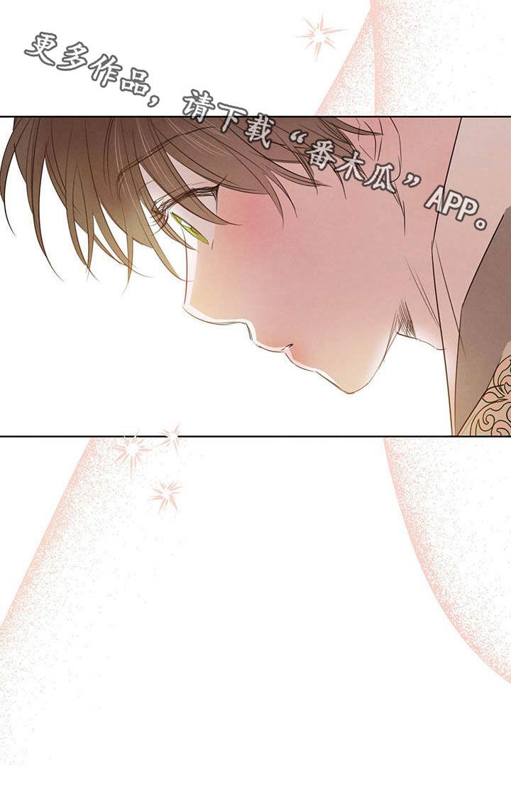 柳树下的浪漫漫画,第104章：【第二季】四叶草3图